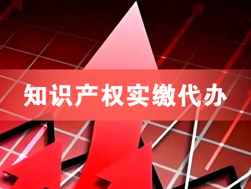河间知识产权实缴资本代办